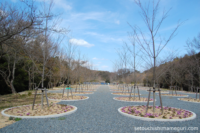 直島 桜の迷宮